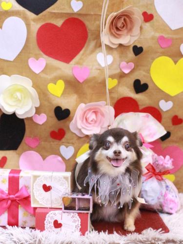 20230208ちゃこちゃん